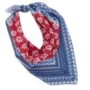 Women's Delaney Bandana Scarf